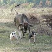 sylar_heros's profile picture. 