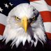 The 520 Bald Eagle (@the520baldeagle) Twitter profile photo