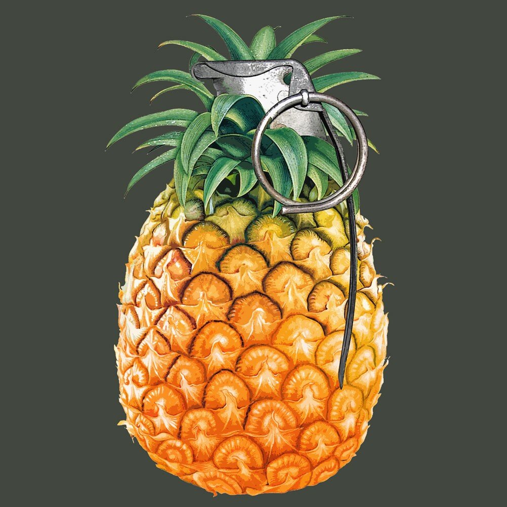 NEW EDM LABEL, seeking the prestigious artists/producers! Open to all, searching for the best..Follow back for DM replies
theofficialpineapplemedia@gmail.com