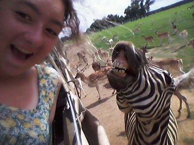 racine_julia's profile picture. ~FHS Colorguard~
LA Stars Drum and Bugle Corps
Colossians 3:23