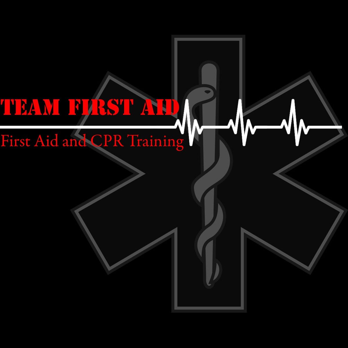TeamFirstAid's profile picture. Red Cross training partners, first aid training, special events first aid.