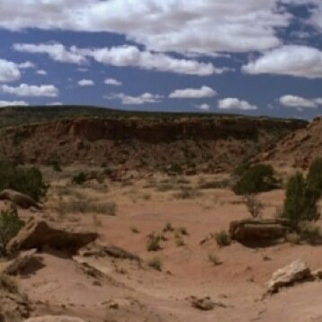 stats41's profile picture. 