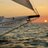 DangerCharters's profile image