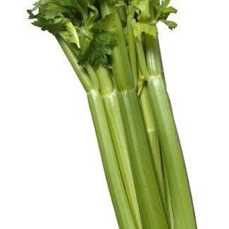 hello i am celery don't question me