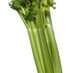 Lonely Celery (@lonecelery) Twitter profile photo