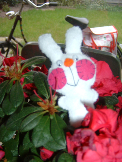 ursekalsis's profile picture. 