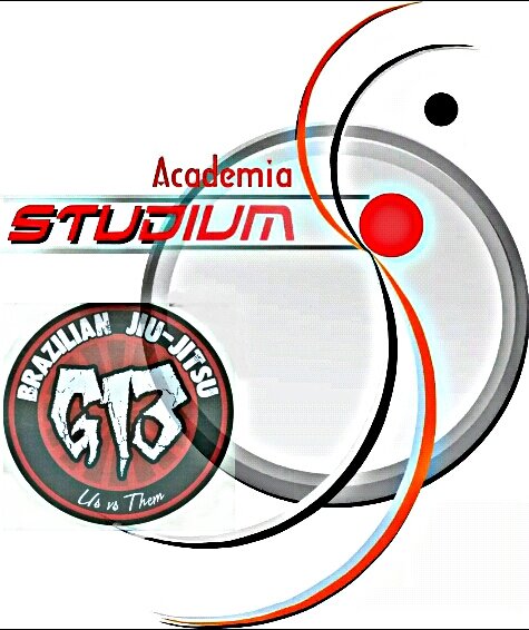 studiumgym's profile picture. 