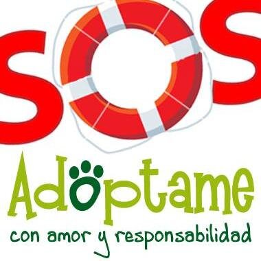 Nuestra tarea está enfocada en mascotas que se encuentran en situación de riesgo, fomentando su rescate, teniendo en cuenta el cupo que tenemos.