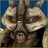 mulaqadov's profile image