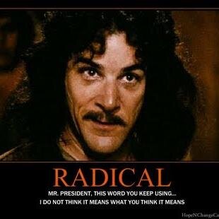 noinstantpuddin's profile picture. systems thinker