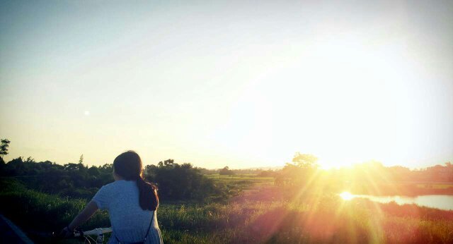 WINGYANNNNN's profile picture. 