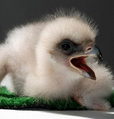 La777_'s profile picture. Anti-políticos corruptos