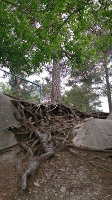 jamonty's profile picture. Healthcare logistics, supply chain, sport and pop culture. Fan of Edm Oilers and Canada soccer. The twittering words are my own.