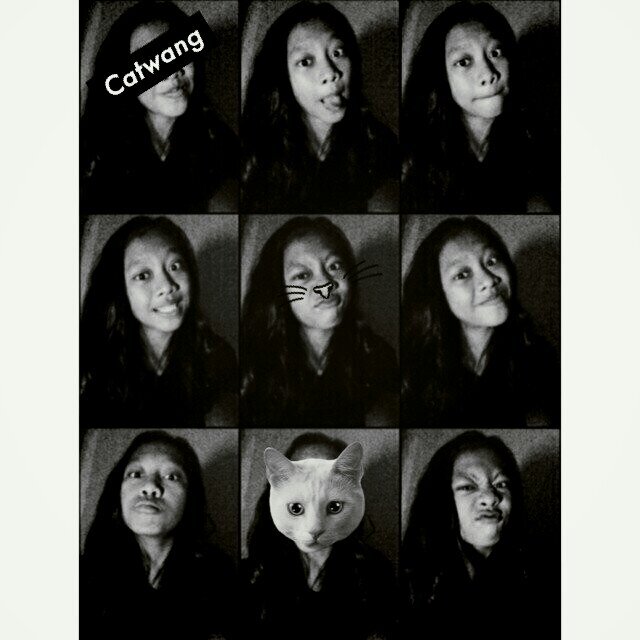 Cil's{}