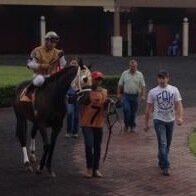 DobricAdam's profile picture. My name is Adam Dobric and I'm 22 years old im a thoroughbred horse trainer im from Hot Springs, Arkansas. Horse Racing is a way of life for me!!