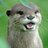 Otter King