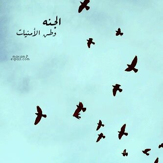 استغفرالله واتوب إليه