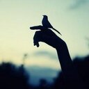 Sienna Black - @SiennaBlack - Twitter