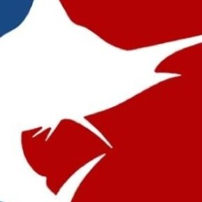 MLF24132's profile picture. 