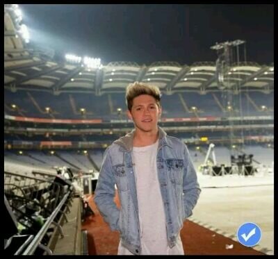 Good'm from Ireland I love the pizzas, my favorite place is nando's'm a well-known band called one direction I like to play soccer and watch