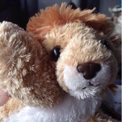 I love my bestfriend Michael Clifford