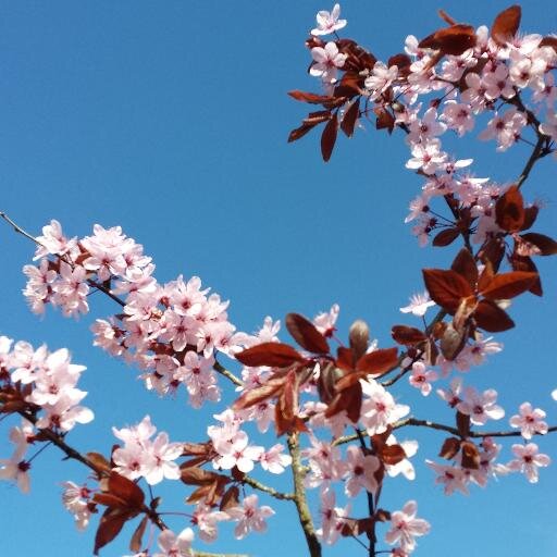 princessdates's profile picture. Day dreamer, lover, traveller.