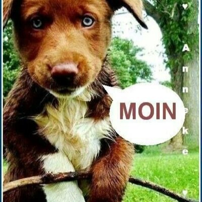 Eulen_Spiegelei's profile picture. 🥳