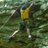 CaptainCrash95's avatar