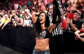 Best Wrestler Randy Orton AJ Lee Cm Punk Sheamus Cameron Chris Jericho Best Actor: Ian Somerhalder Adelaide Kane