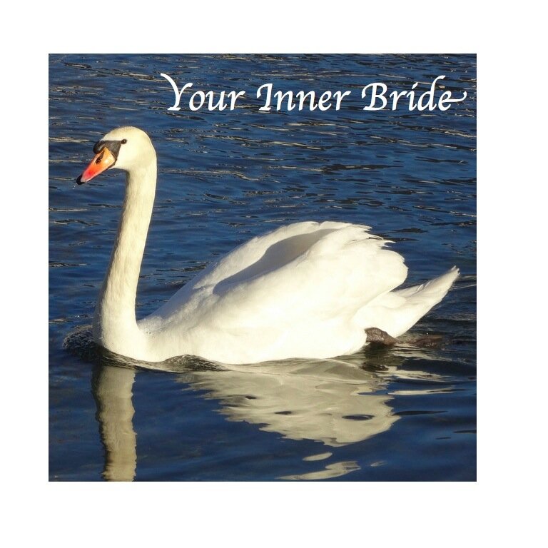 Your Inner Bride - because it's never too soon or too late to dream.