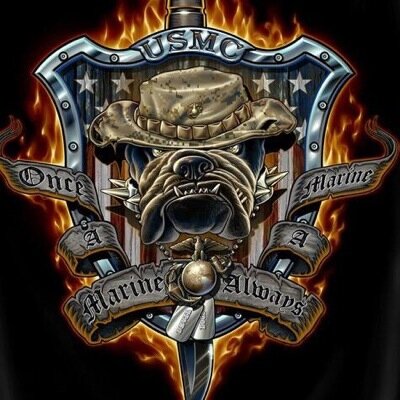 Conservative Christian, Tea Party, Once a Marine, always a Marine. A father and Lover of our Nation. Love and follower of Christ. #TCOT, #Prolife,#FSU
