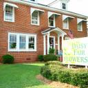 The Daisy Fair - @DaisyFair - Twitter