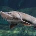 TN Aquarium Conservation (@tnaqsci) Twitter profile photo