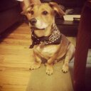 Canada Dan - @CanadaDan87 - Twitter