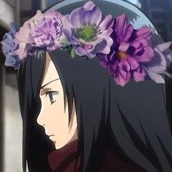 Mikasa ackerman *protects eren*