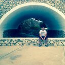 Michael Bird - @mwlsbird - Twitter