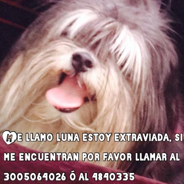 con fe! de recuperar a Lun@