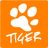 TigerWebDesigns's profile image