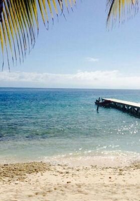 meuirmao's profile picture. 