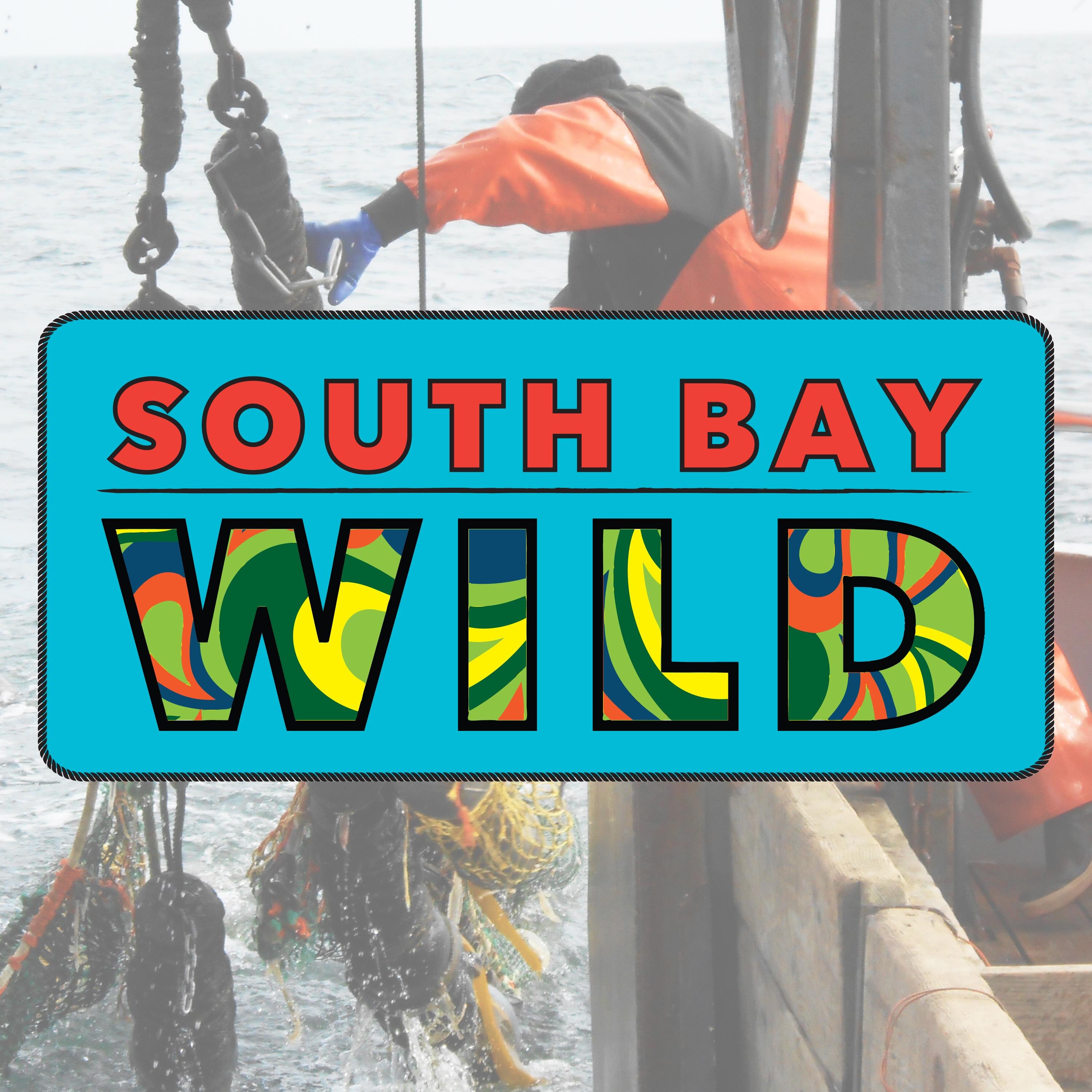 South Bay Wild inc. harvests and markets high quality seafood sustainably along California's central coast, based in Morro Bay