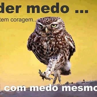 PAULOMELONEWS's profile picture. PAULO SÉRGIO DE MELO...ACREDITANDO NA VIDA APÓS A MORTE..paulo_smelo@yahoo.com.br...www.radioantenasulfm.com.br