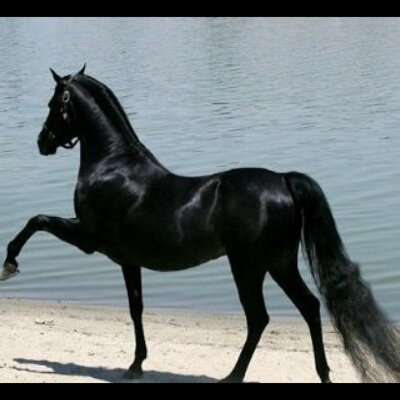 q8ndd1's profile picture. اللهم إغفرلي ذنبي ولوالدي ولولدي ولكل أحبتي يوم لاينفع مال ولا بنون