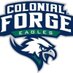 Colonial Forge Football (@infoforge) Twitter profile photo Colonial Forge Football (@infoforge) Twitter profile photo