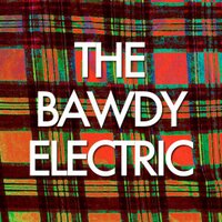 The Bawdy Electric(@bawdyelectric) 's Twitter Profile Photo