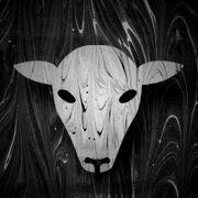 OvelhaOn's profile picture. Comunicação, experimentação e cultura.