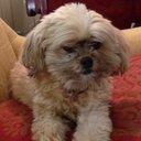 Madeline Rucker - @RuckerMadeline - Twitter