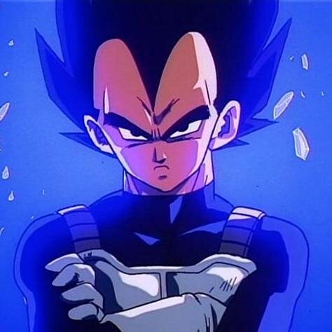I'm just in the shadow of that blasted clown BUT NO MORE! The Prince of all saiyans will not run away like a coward!