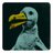 BigDumbBird's profile image