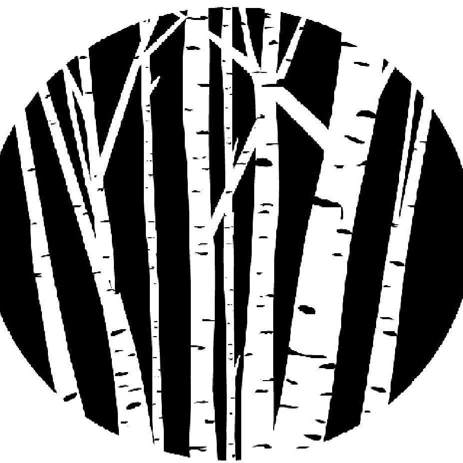 ncfeduk's profile picture. The National Coppice Federation has grown out of the wish for regional coppice groups to unite under one banner.