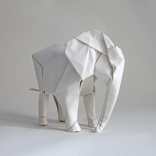 NalaEscarcega's profile picture. My story.Analyst -